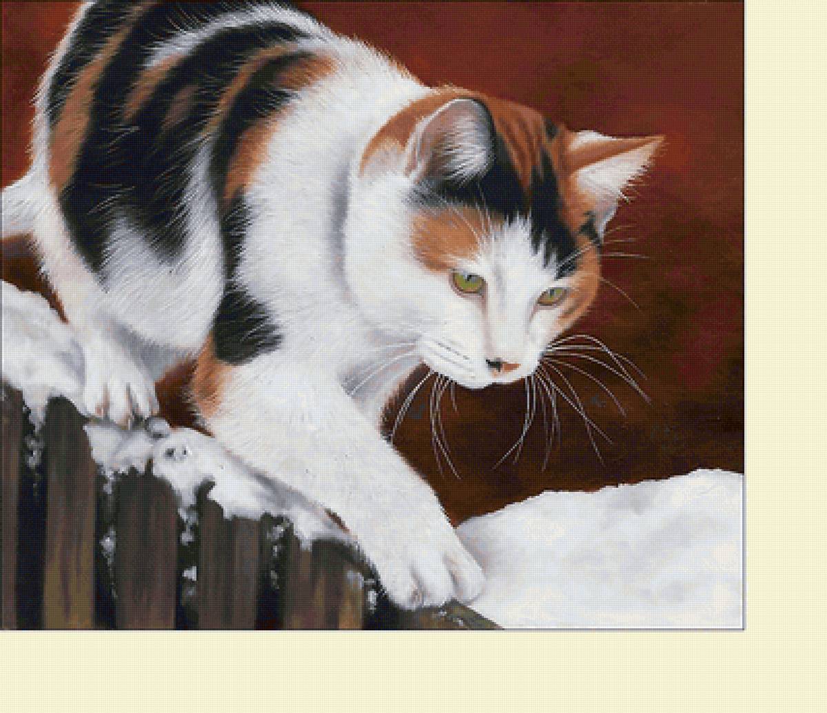 кот - кот, животные, коты - предпросмотр