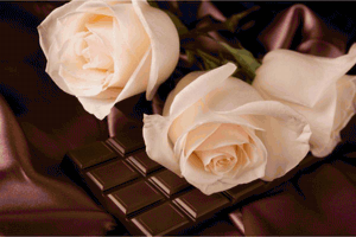 розы и шоколад - предпросмотр