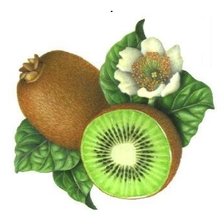 Схема вышивки «№2323075»