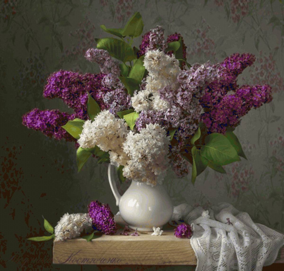 сирень - предпросмотр