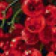 Предпросмотр схемы вышивки «Красная смородина» (№2323287)