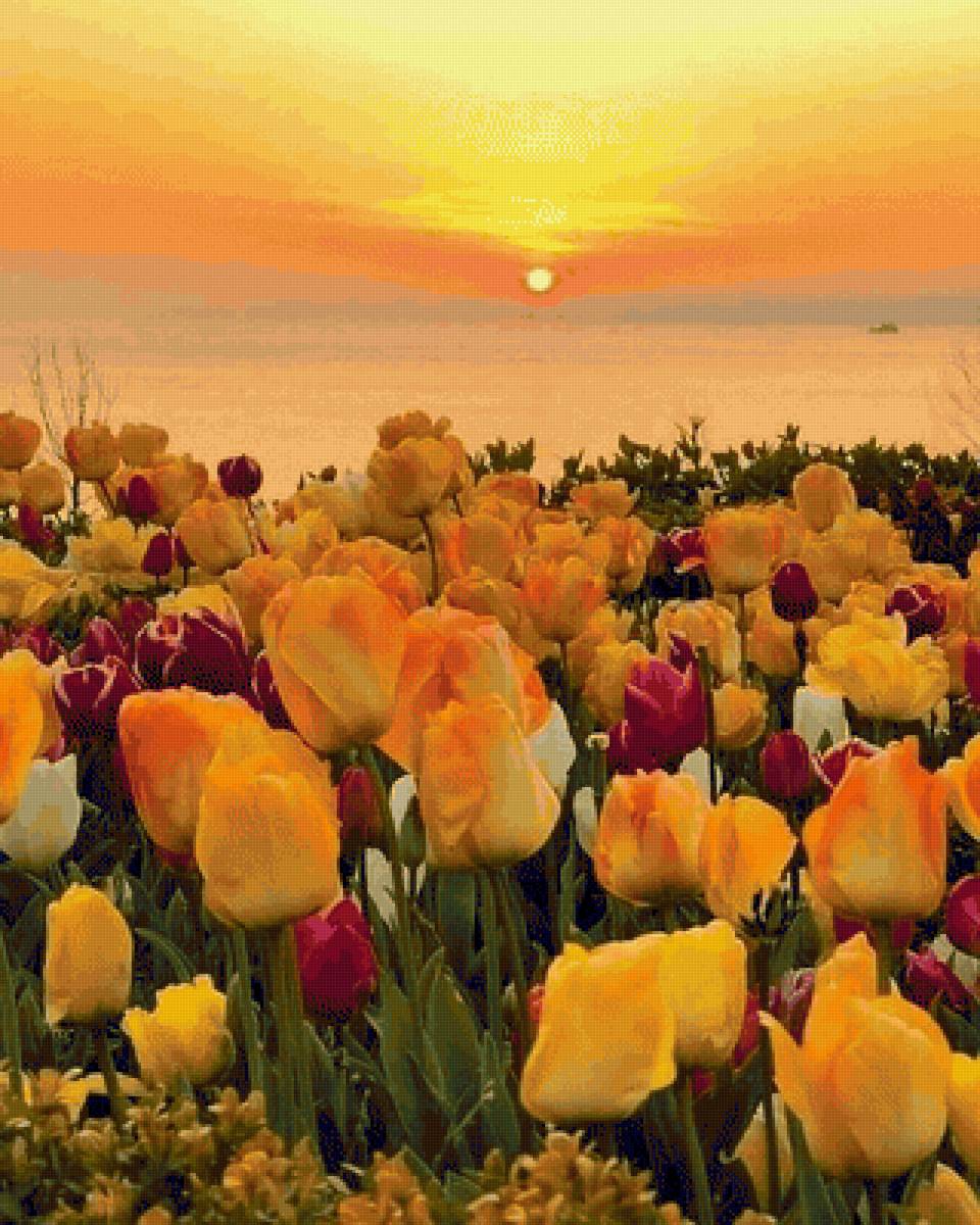 amarillos - paisaje - предпросмотр