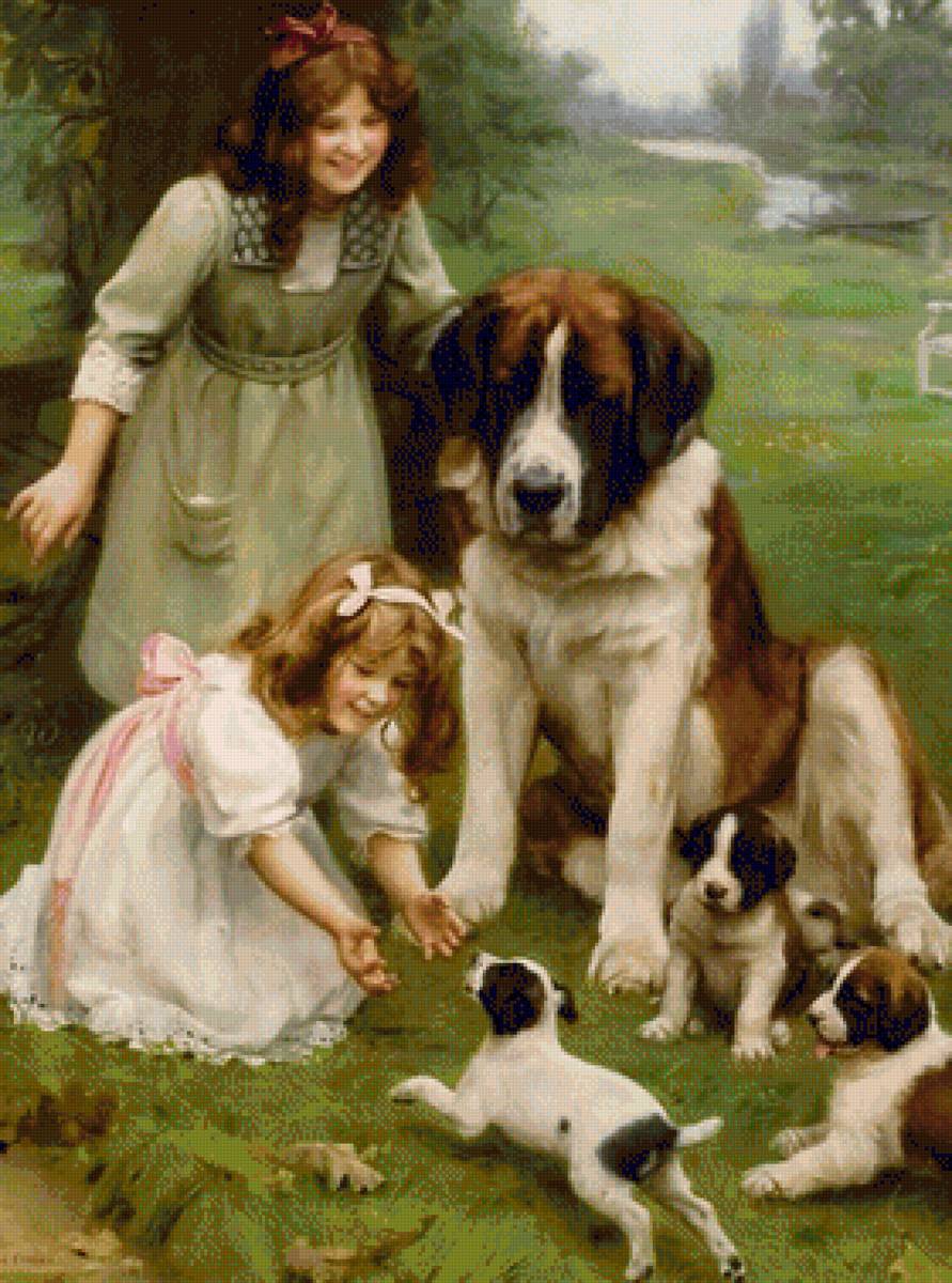 copii - предпросмотр