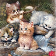 Схема вышивки «Gatinho brincando com  Peixes.»