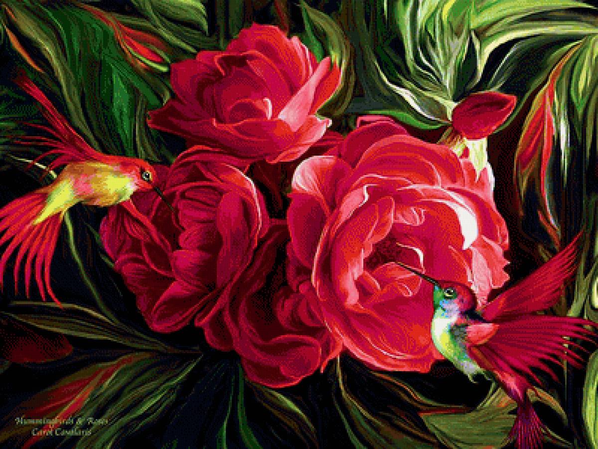 Колибри - птицы, природа, цветы - предпросмотр