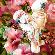 Схема вышивки «Какаду»