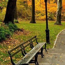 Осень в парке