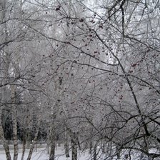 Схема вышивки «Зима»