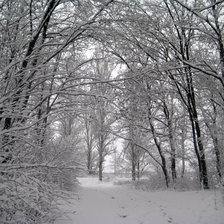 Схема вышивки «Зима»