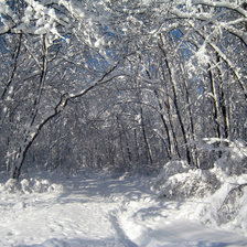 Схема вышивки «Зима»