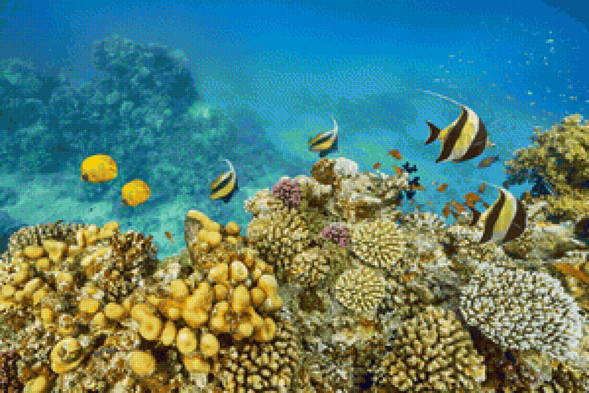 Рыбы - рыбы, океан, подводный мир - предпросмотр