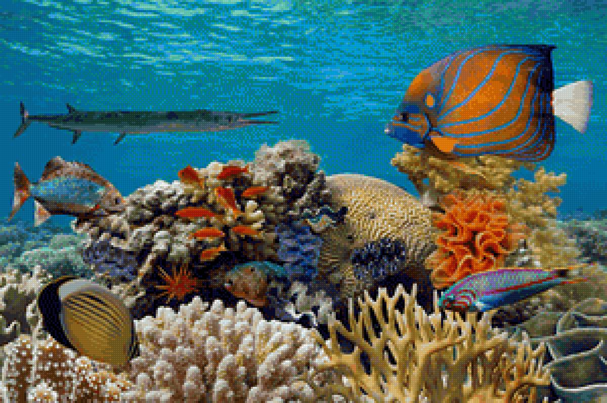 Рыбы - рыбы, океан, подводный мир - предпросмотр