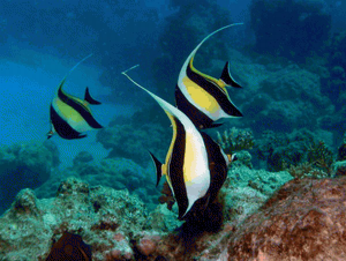 Рыбы - рыбы, океан, подводный мир - предпросмотр