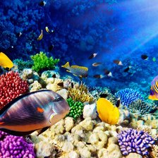 Схема вышивки «Рыбы»