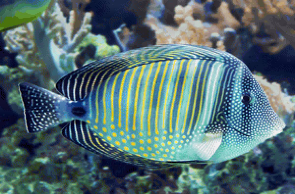 Рыбы - подводный мир, рыбы, океан - предпросмотр