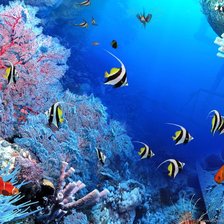 Схема вышивки «Рыбы»