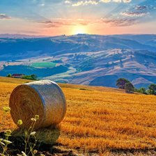 Схема вышивки «Campania»