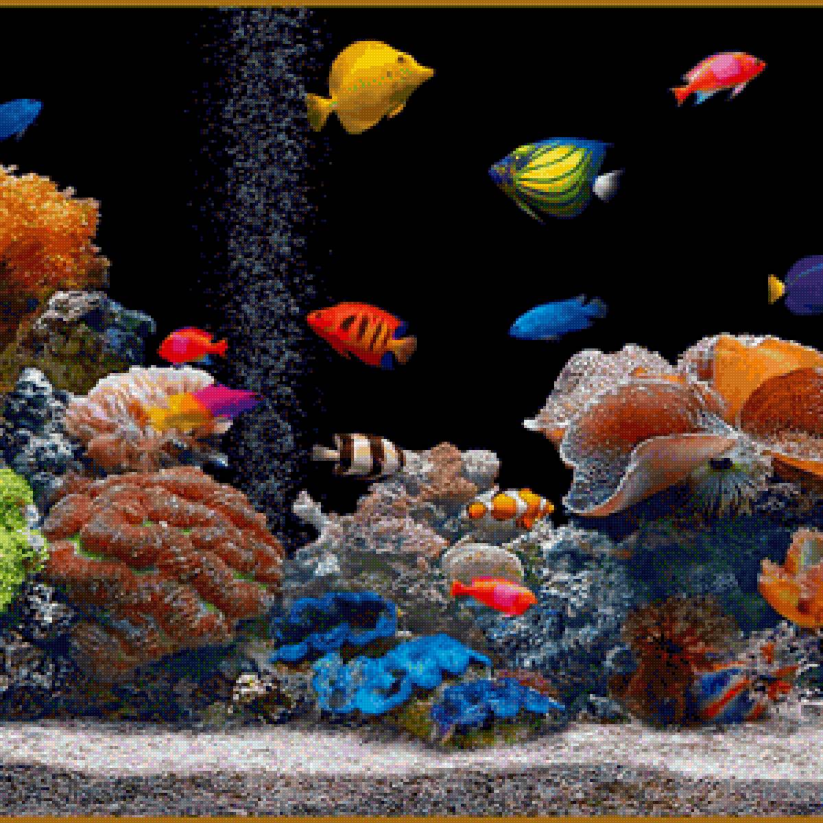 Рыбы - океан, подводный мир, рыбы - предпросмотр