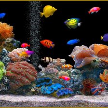 Схема вышивки «Рыбы»