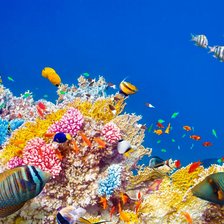 Схема вышивки «Подводный мир»