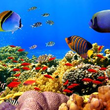 Схема вышивки «Подводный мир»