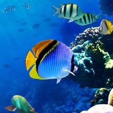 Схема вышивки «Подводный мир»