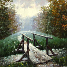 Схема вышивки «Дождь»