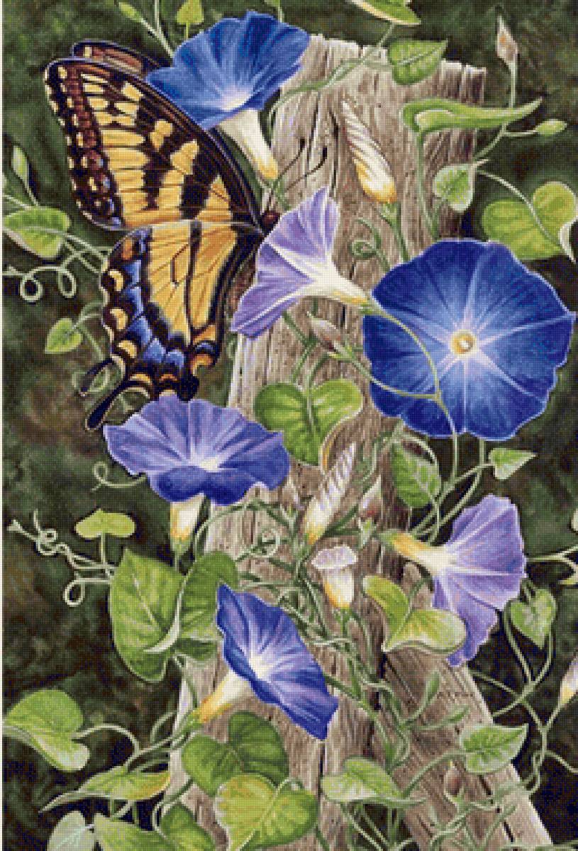 Flores. - flores.borboleta. - предпросмотр