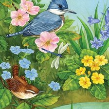 Схема вышивки «Pássaros.»