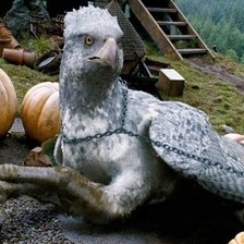 Схема вышивки «клювокрыл»