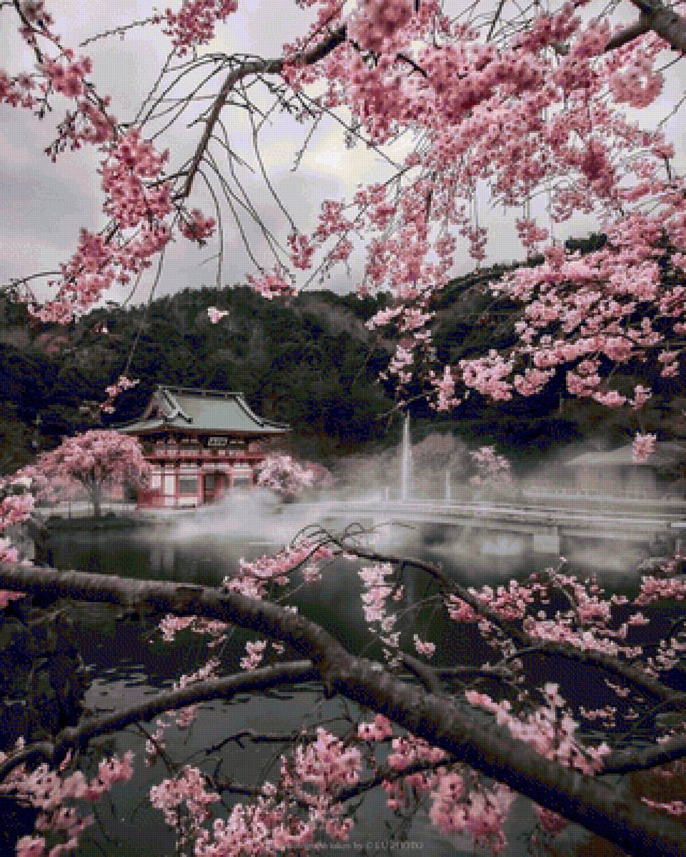 hermosos cerezos - paisaje - предпросмотр