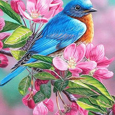 Схема вышивки «flori»