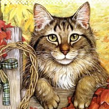 Схема вышивки «Gato.»