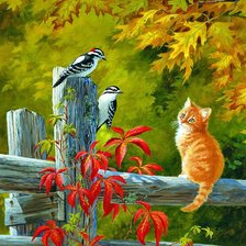 Схема вышивки «Gato.»