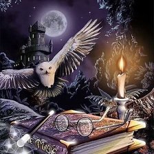 Схема вышивки «Lechuz Harry potter»