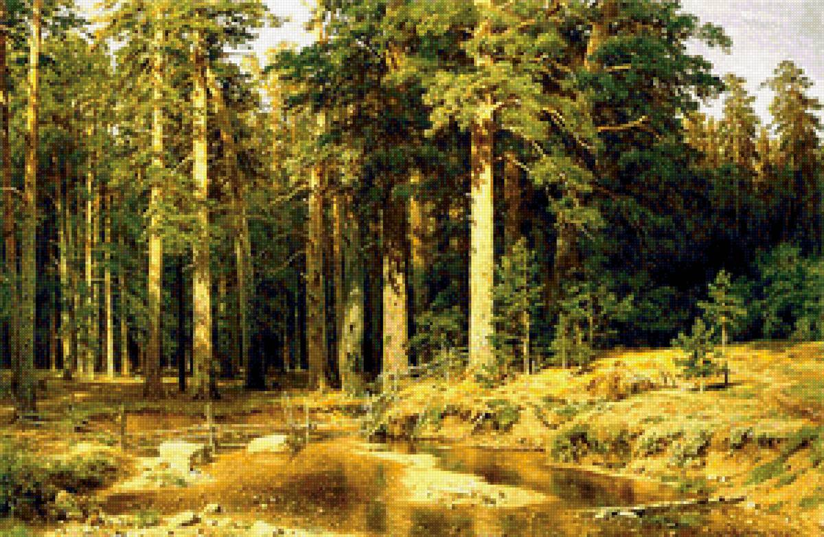 Роща - природа, лето - предпросмотр