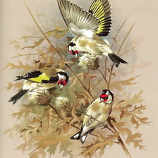 Схема вышивки «Птички летом»