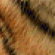 Предпросмотр схемы вышивки «Тигр» (№2326542)