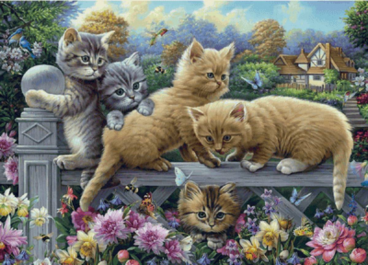 Gatos. - animais.flores .casa. - предпросмотр