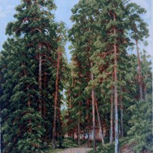 Шишкин, Солнце в лесу