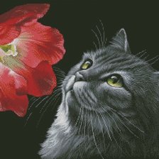 Схема вышивки «Встреча с прекрасным»