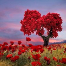 Схема вышивки «rojos»