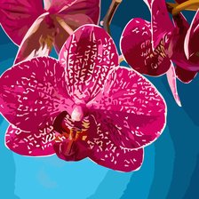 Схема вышивки «№2327084»