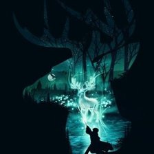 Схема вышивки «гарри поттер»