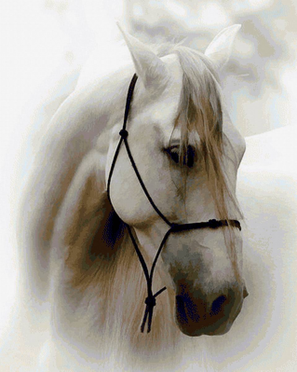 Лошадь - предпросмотр