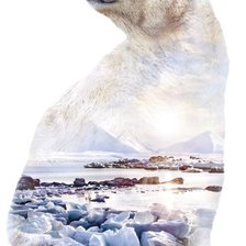 Схема вышивки «Владыка Севера»