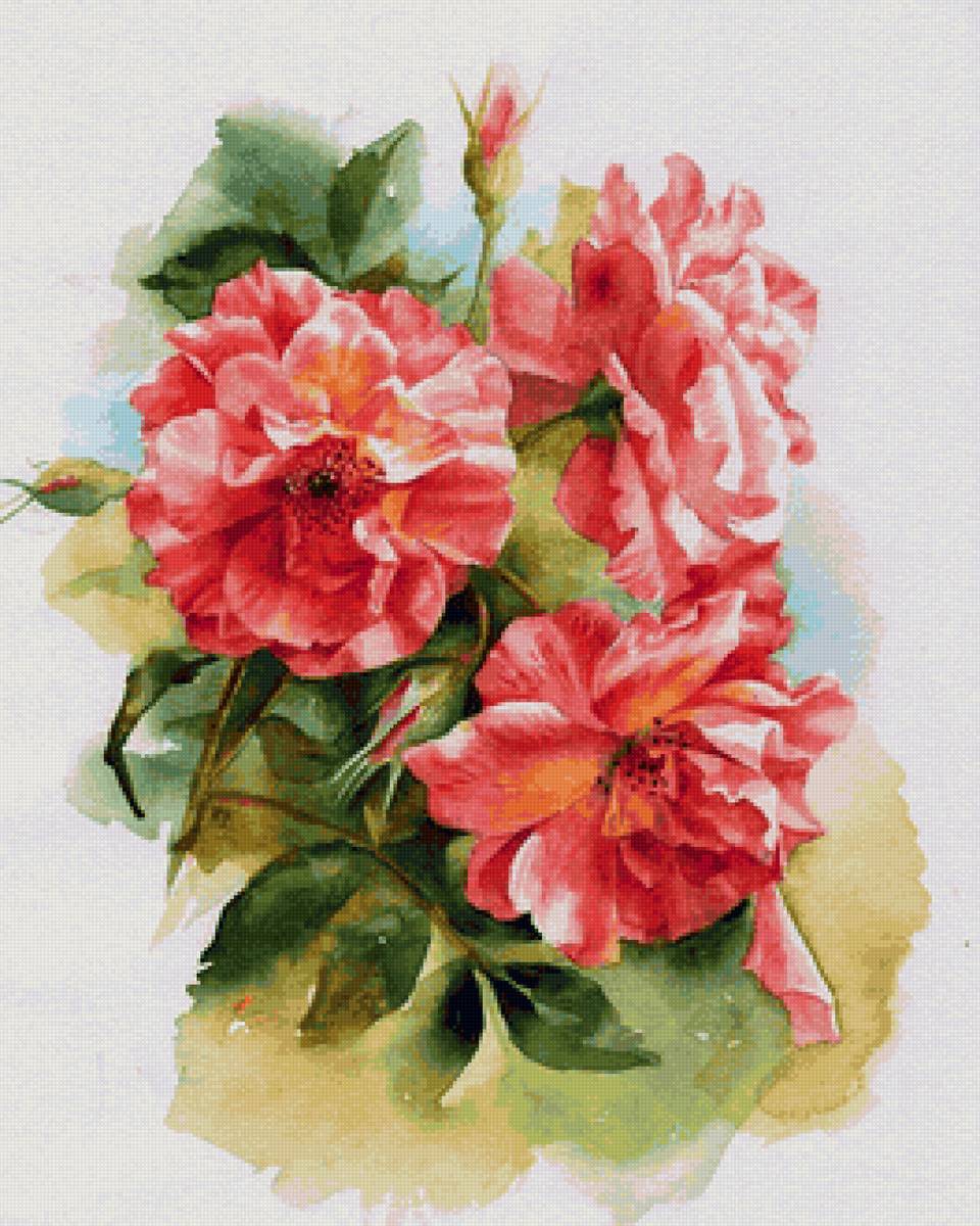 Шиповник - предпросмотр