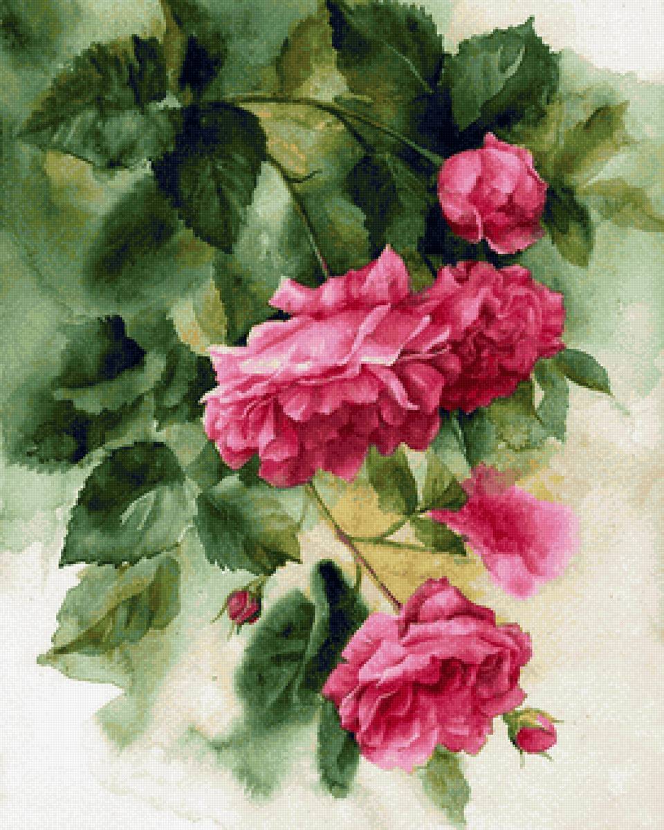 Розы - акварель - предпросмотр