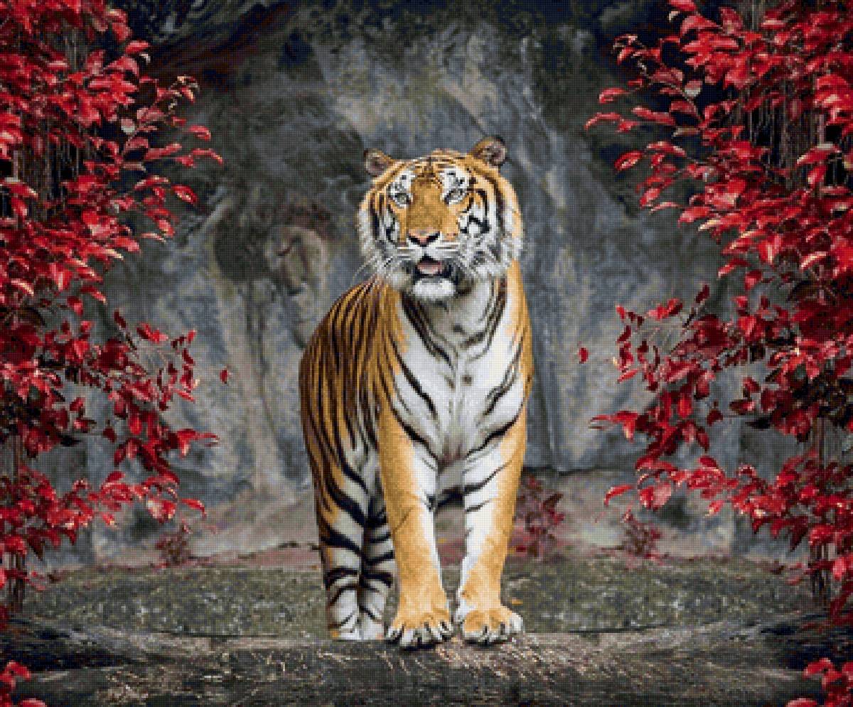 Tigre. - animais. - предпросмотр