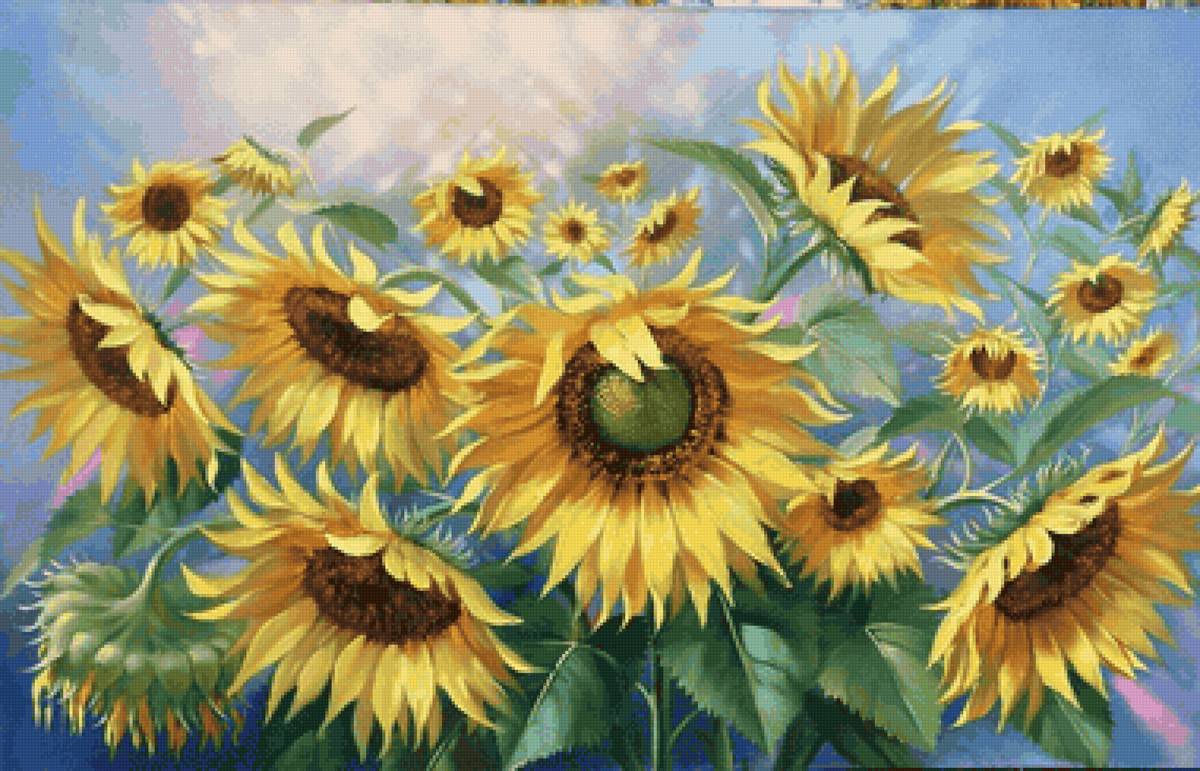 Girassóis - flores.girassóis. - предпросмотр